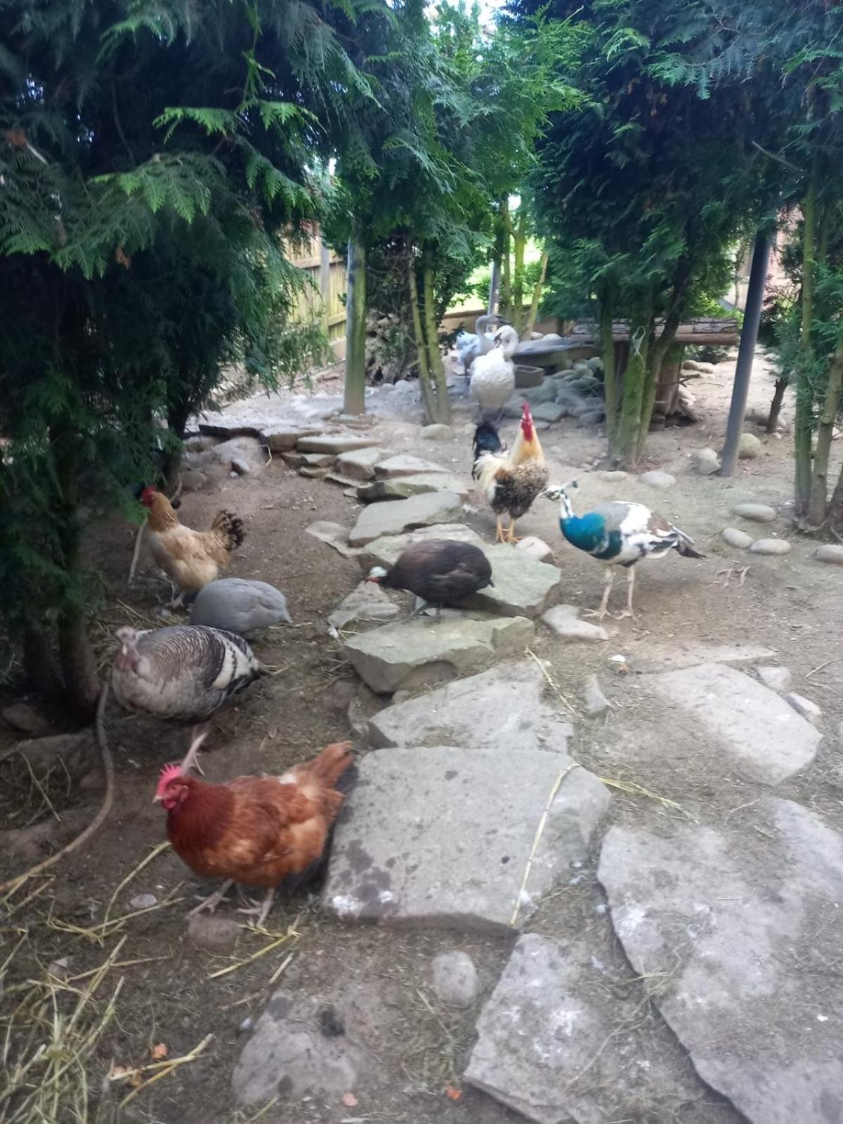 Koperkowe Rancho Beskid Wyspowy Domek Malopolskie Kamionna Kamionna  Экстерьер фото