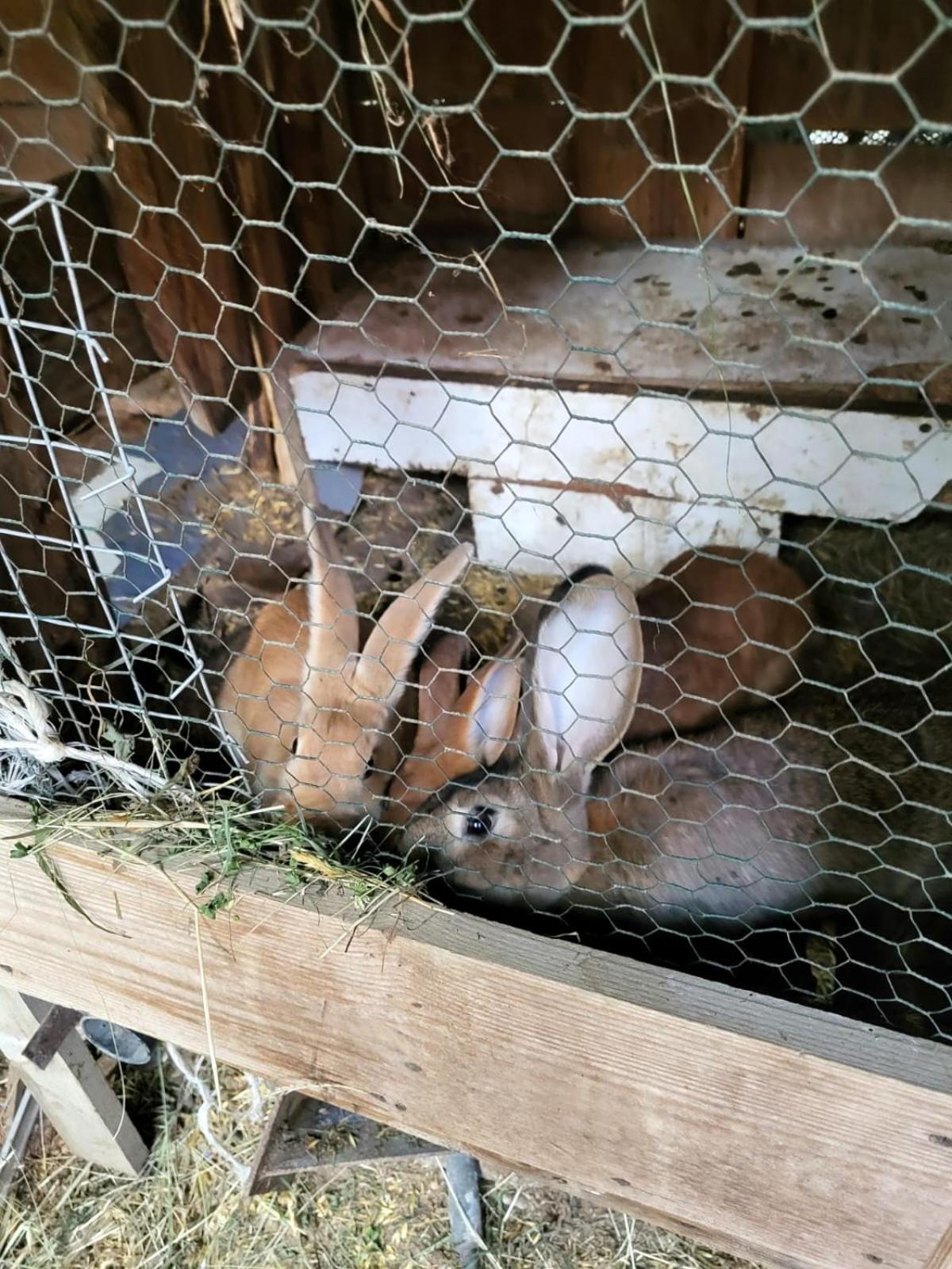 Koperkowe Rancho Beskid Wyspowy Domek Malopolskie Kamionna Kamionna  Экстерьер фото